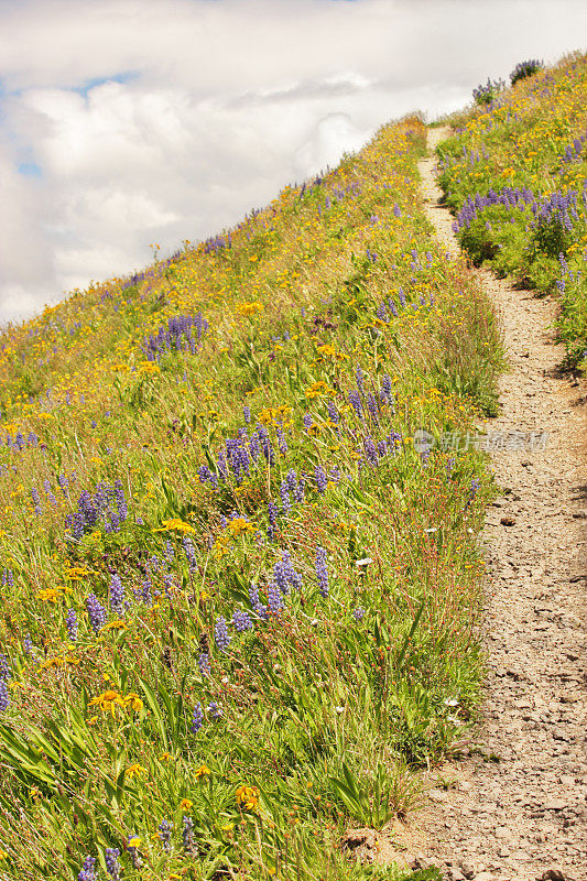 Horsethief Trail 圣胡安山远足